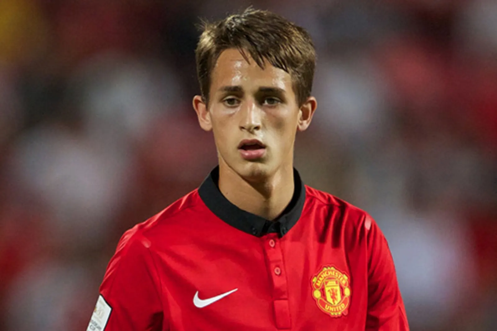 Januzai