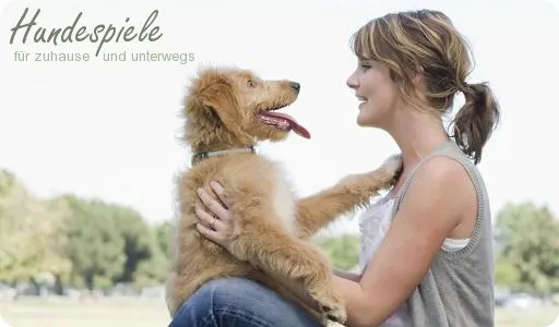 Spiele Für Hunde Im Haus