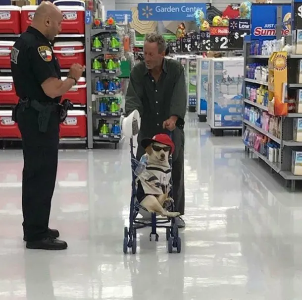 Heck Ticket