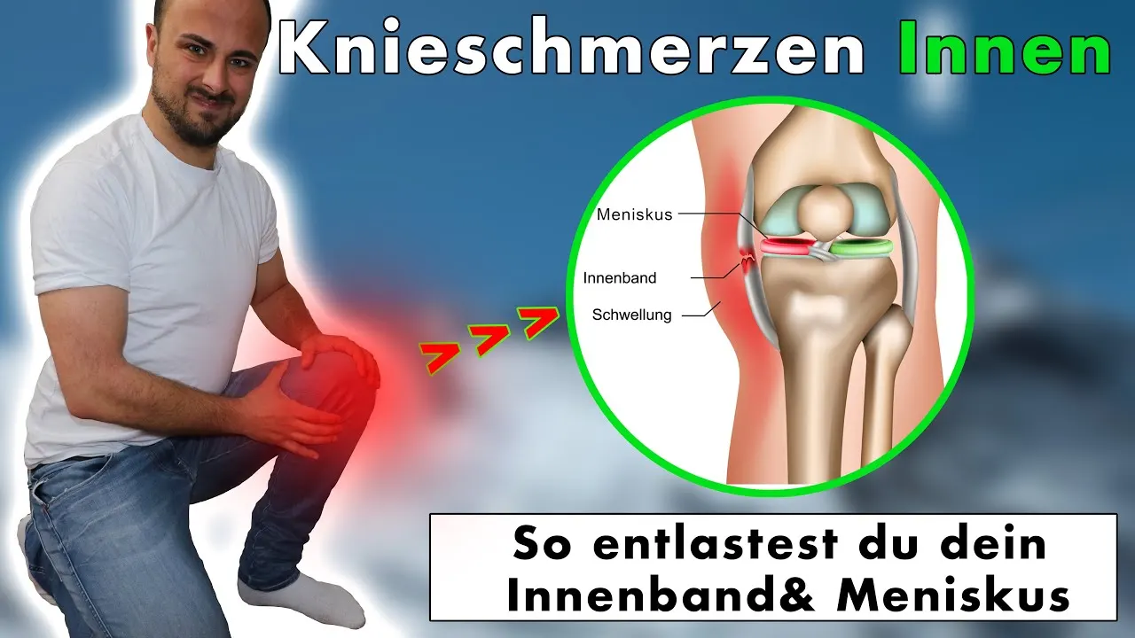 Innenband Knie