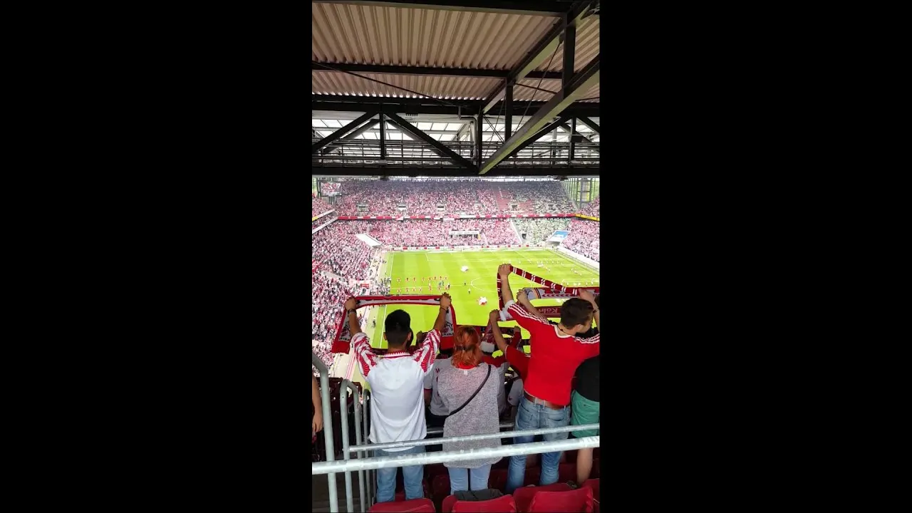 Vfl Wolfsburg Hymne