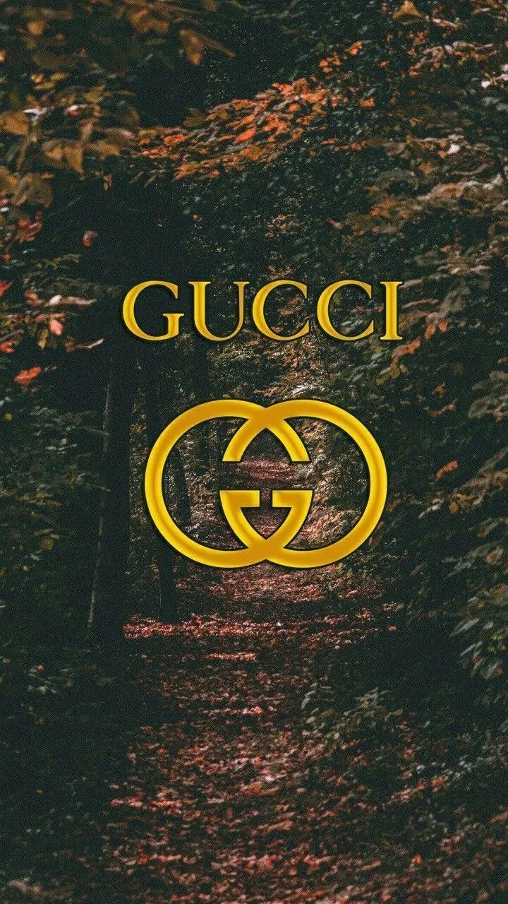 Gucci Bilder